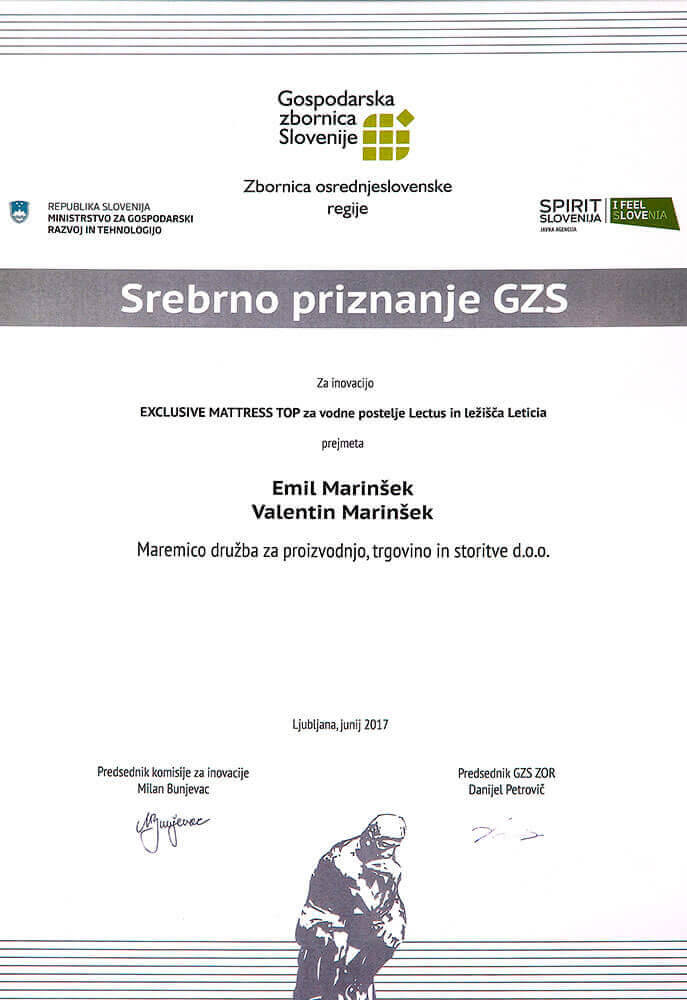 Podelitev nagrade GZS